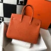 SAC HRMS ORANGE – Image 7