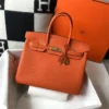 SAC HRMS ORANGE – Image 2