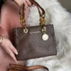 SAC MK MARRON2