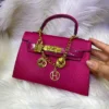 MINI HRMS FUSHIA – Image 2