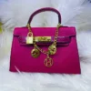 MINI HRMS FUSHIA
